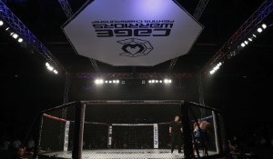 Bud Light Strikes Historic Sponsorship Deal with UFC